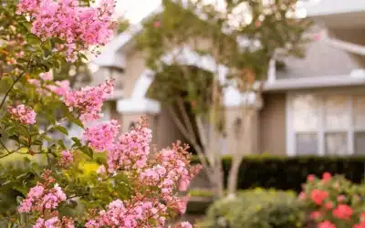 Pourquoi vendre son bien au printemps ?