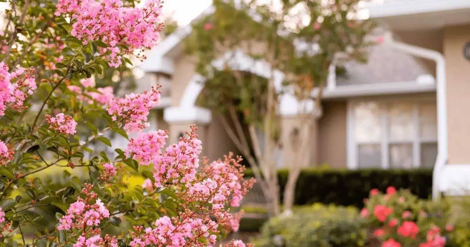 Maison à vendre au printemps avec fleurs de saison